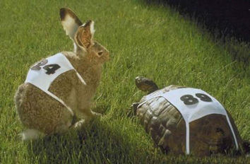 Une simple petite régionale en Lorraine