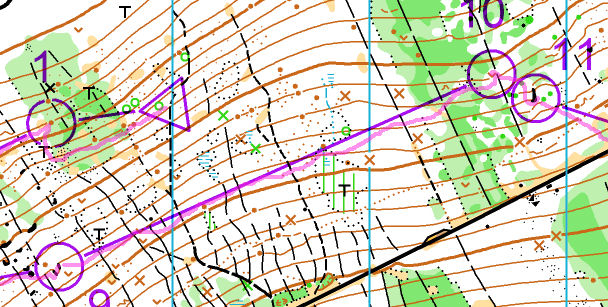 Championnats du Monde : 15ème de la Moyenne Distance