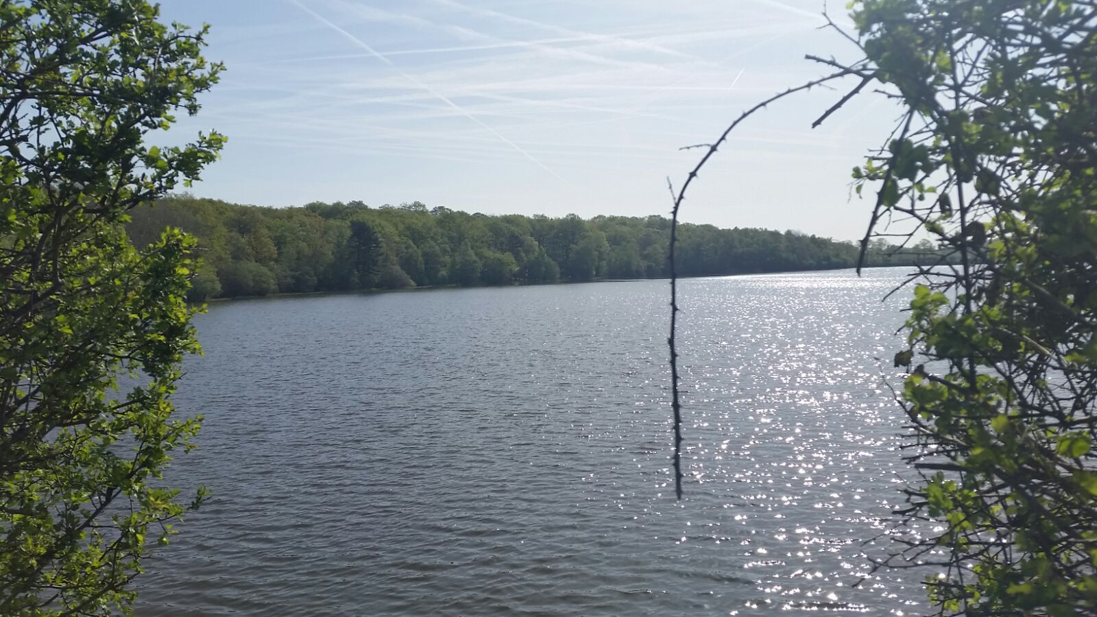 Championnat de France Moyenne Distance !