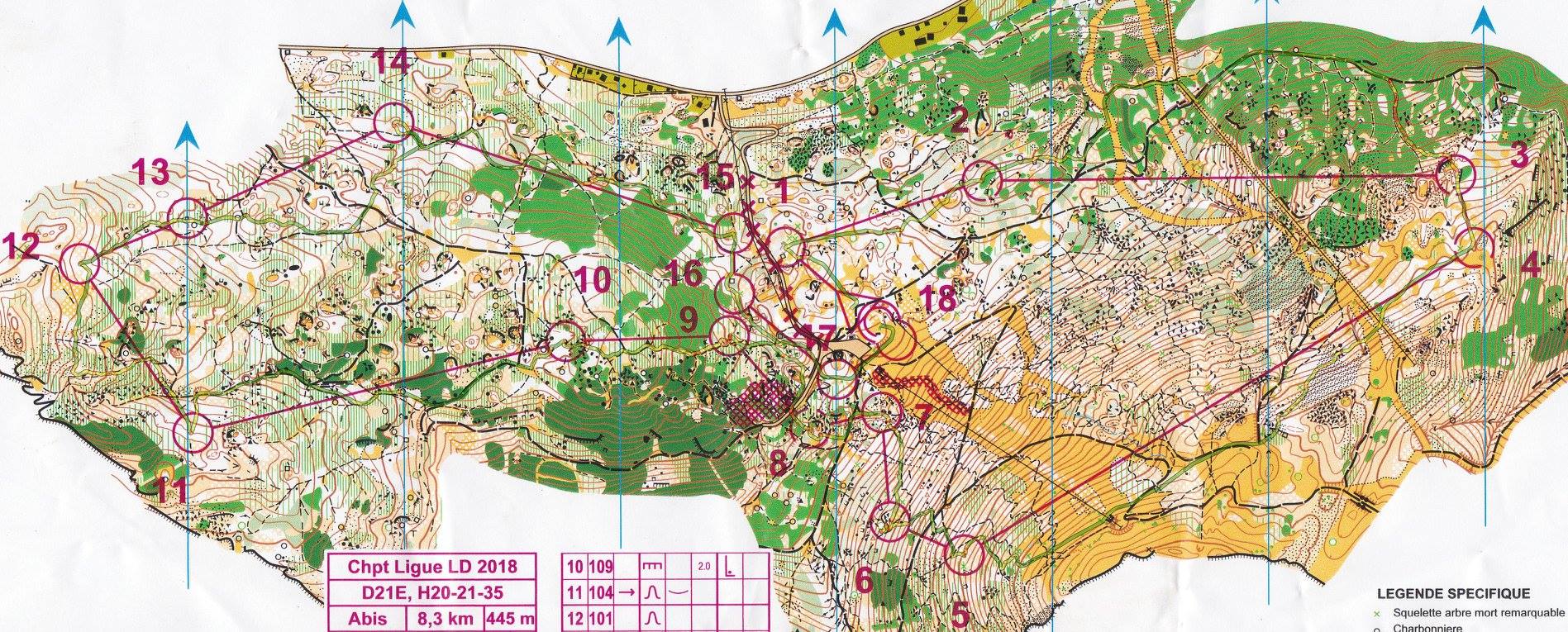 Championnat de Ligue Longue Distance CO - La Moulière (06)