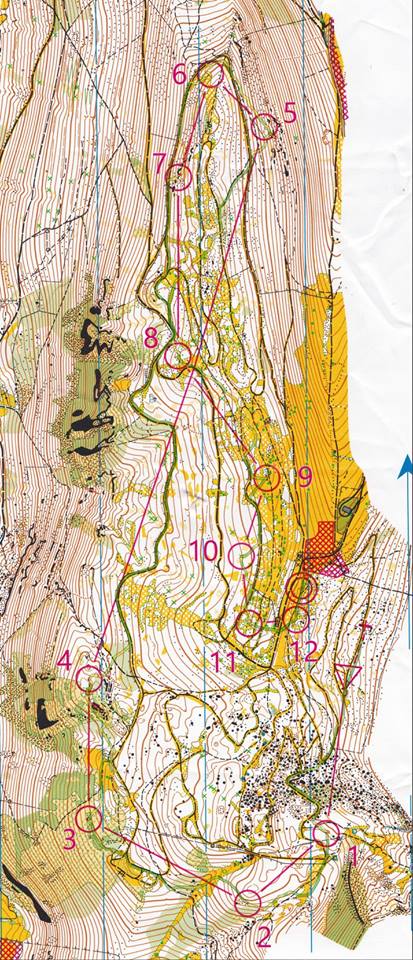 Carte LD avec tracé GPS
