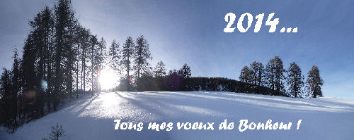 Meilleurs Voeux !