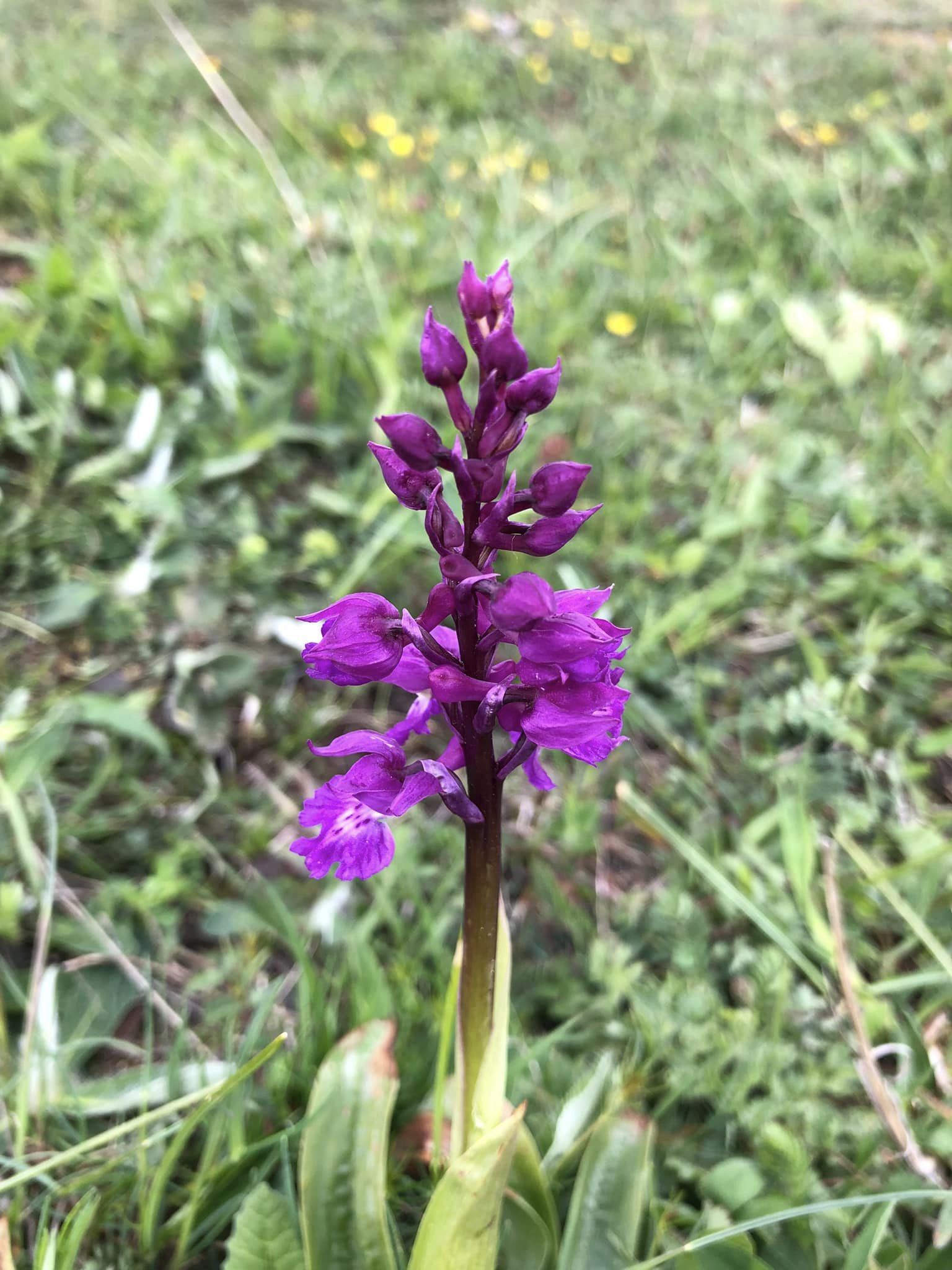 🇫🇷 Championne de France de CO Moyenne Distance 🥇😃😃😃 🇫🇷 Championne de France de CO Moyenne Distance 🥇😃😃😃