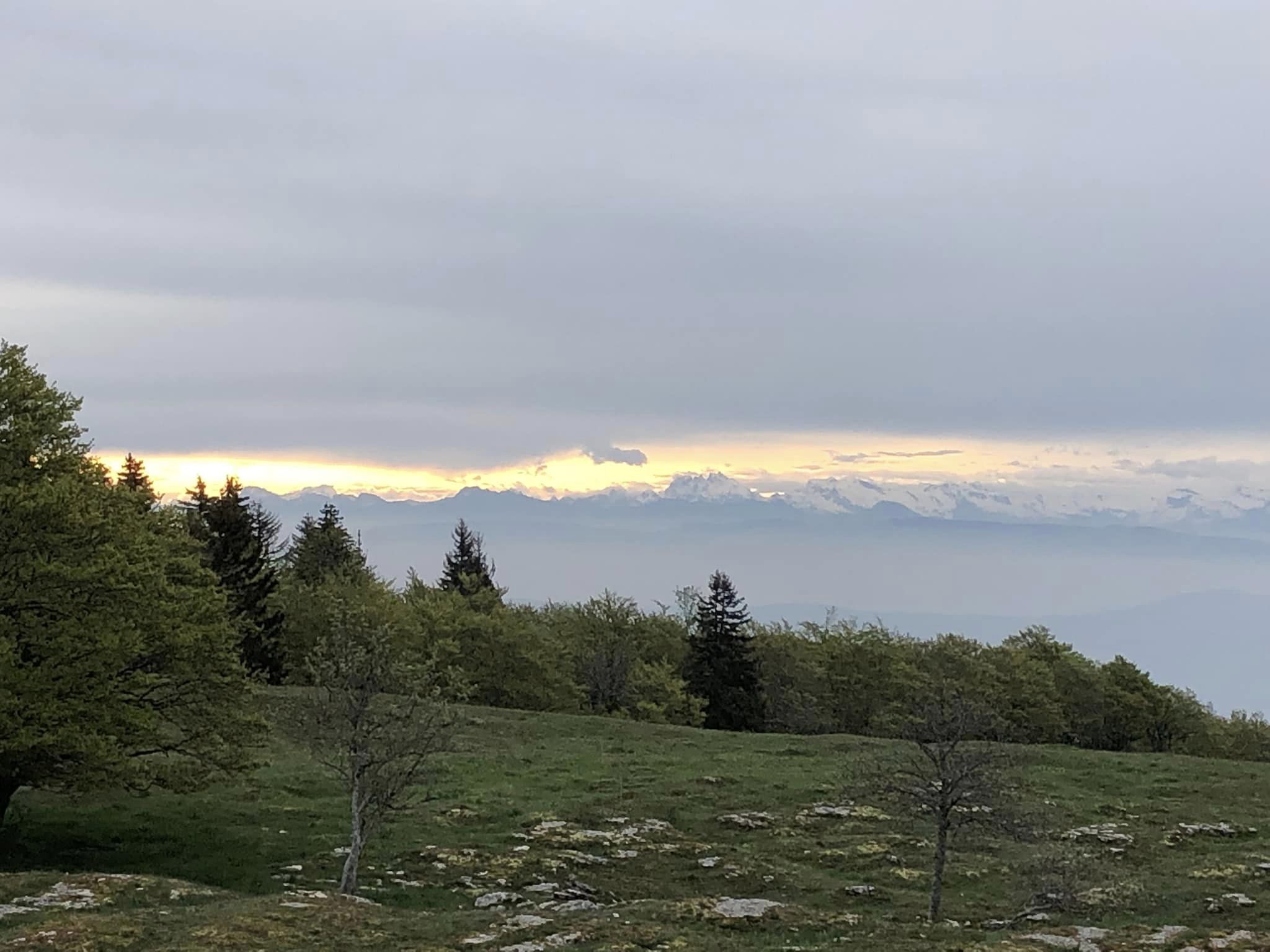 🇫🇷 Championne de France de CO Moyenne Distance 🥇😃😃😃 🇫🇷 Championne de France de CO Moyenne Distance 🥇😃😃😃