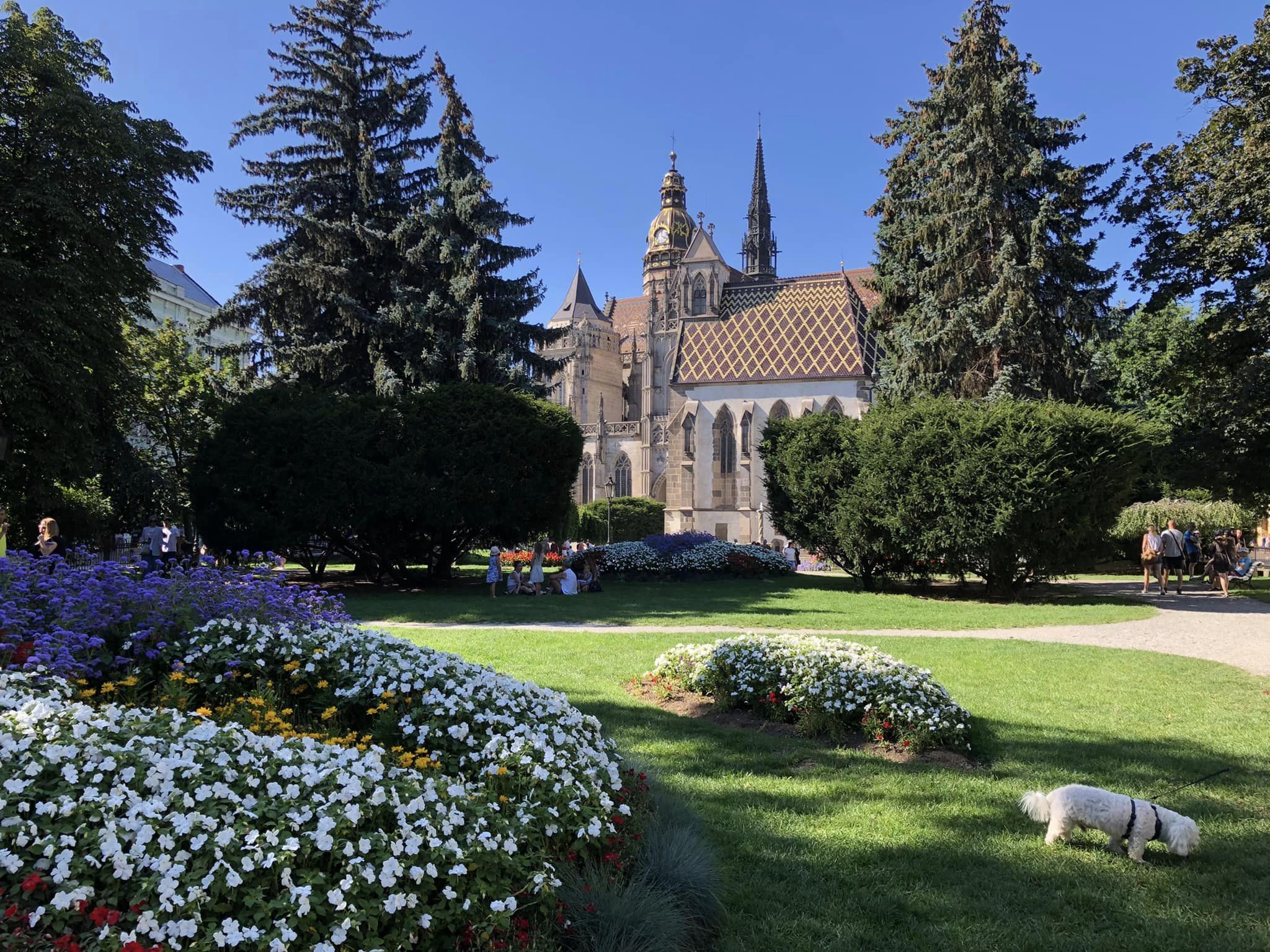 🥇Championne du Monde de Sprint W40 !! 😃😃😃 🥇Championne du Monde de Sprint W40 !! 😃😃😃