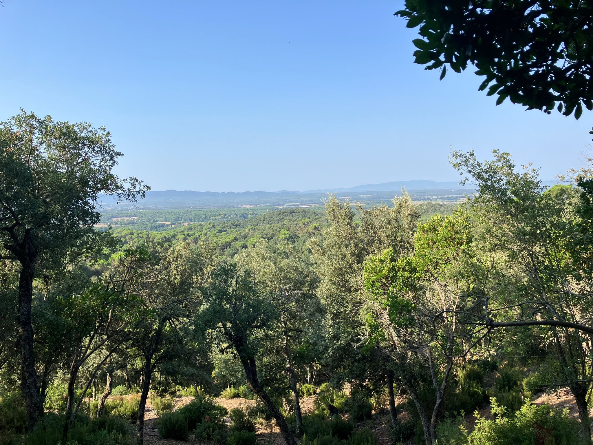 Triple Championne du Monde de Course d’Orientation !