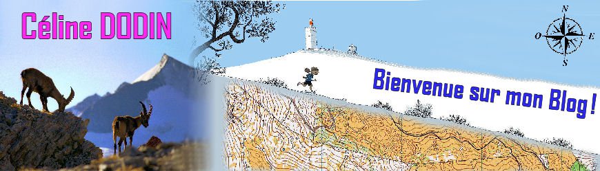 Céline Dodin - Bienvenue sur mon blog ! Céline Dodin - Bienvenue sur mon blog !