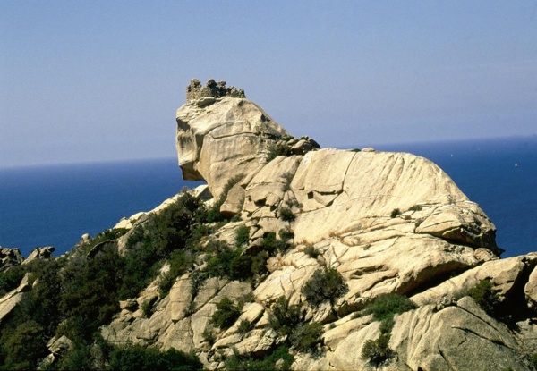 Le lion de Roccapina Le lion de Roccapina