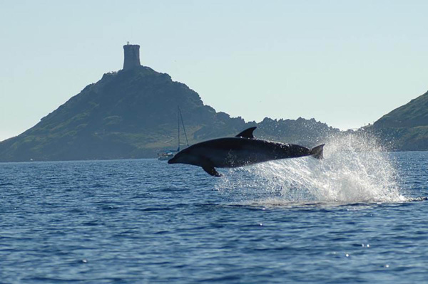 Les Iles Sanguinaires