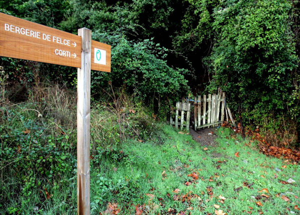 Corte : randonnée familiale vers la Punta di u Corbu Corte : randonnée familiale vers la Punta di u Corbu
