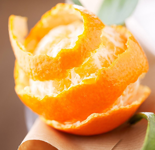 La clémentine corse, un rayon de soleil en automne