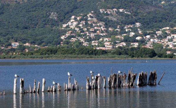 Réserve naturelle de l’étang de Biguglia Réserve naturelle de l’étang de Biguglia