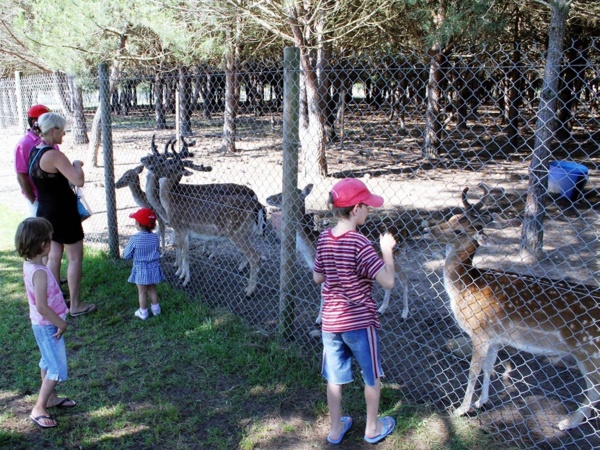 Le parc animalier d’Erba Rossa Le parc animalier d’Erba Rossa