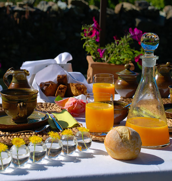 Le charme des vieilles pierres à la Mandria