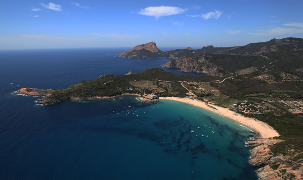 Arone la perle authentique Arone la perle authentique