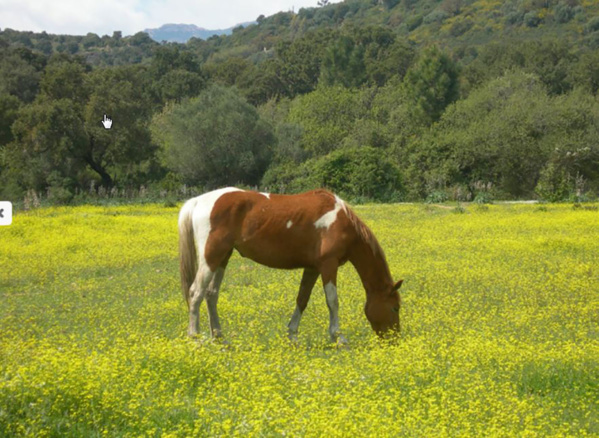 Ranch Villata Ranch Villata