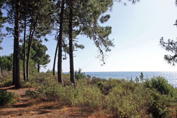 La plage de Pinia La plage de Pinia