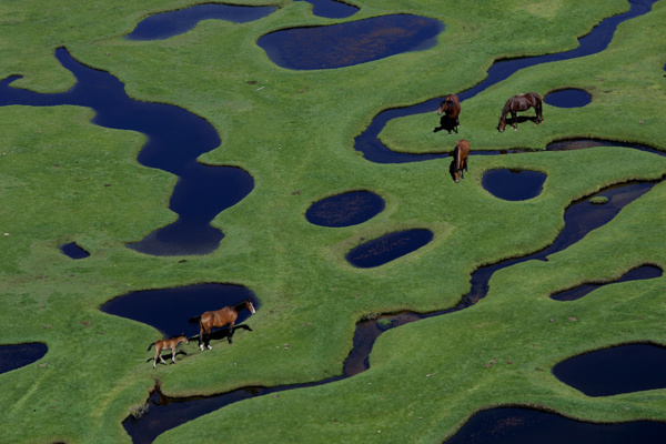 Le plateau du Cuscione