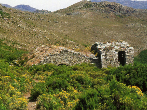 A la découverte des nivere de Cardo A la découverte des nivere de Cardo