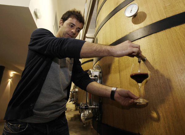 Le domaine Vico se dévoile au pied des montagnes