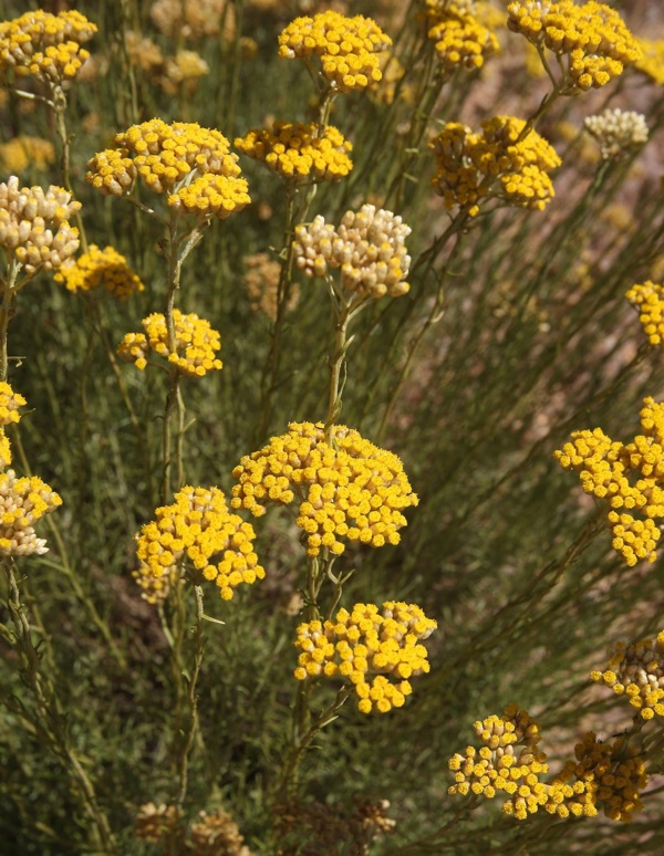 Casa vecchia Casa vecchia