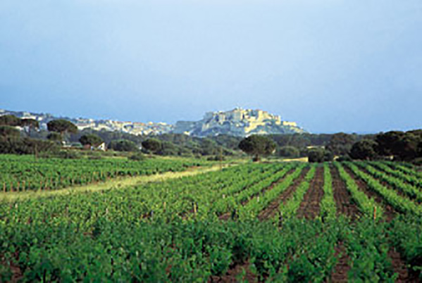 Domaine Cardi Domaine Cardi