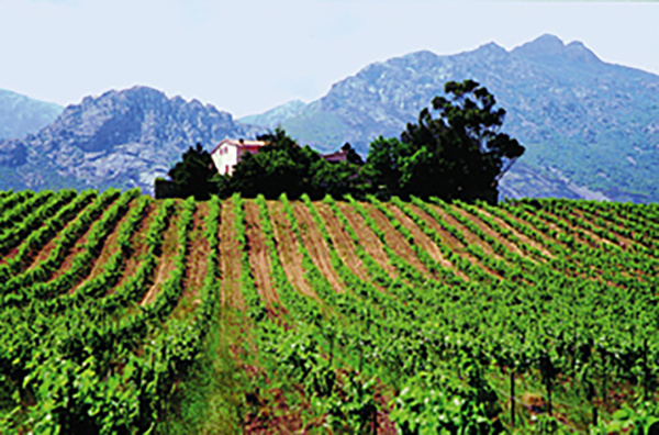 Domaine de la Figarella