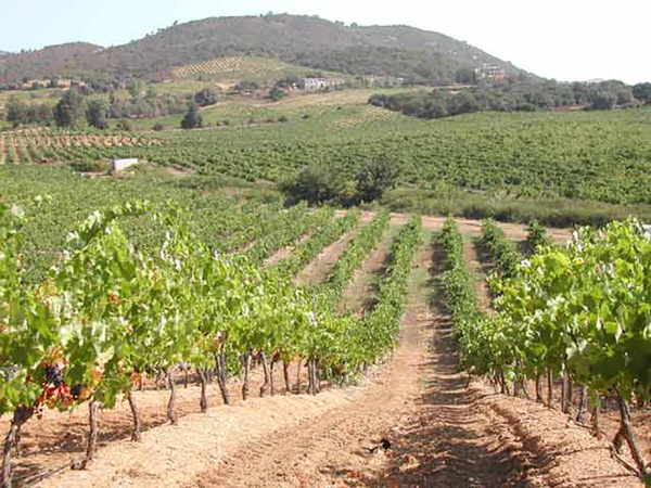 Lucchini Paul-André Lucchini Paul-André