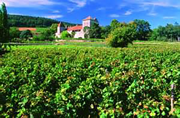 Clos Massimi Clos Massimi