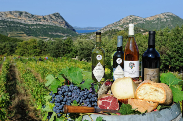 Domaine Montemagni Domaine Montemagni