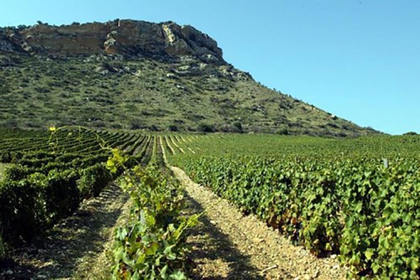 Domaine Pastricciola Domaine Pastricciola