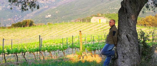 Domaine E Crocce Domaine E Crocce