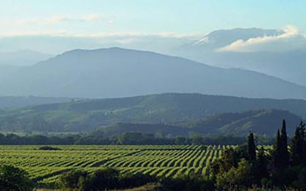 Cave Coopérative d'Aghione