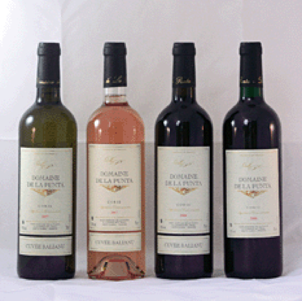 Domaine de la Punta Domaine de la Punta