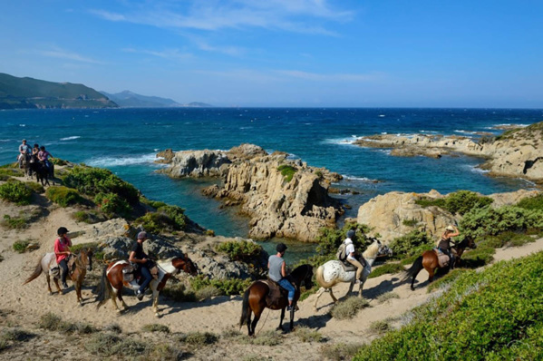 Ferme équestre d’Arbo Valley Ferme équestre d’Arbo Valley