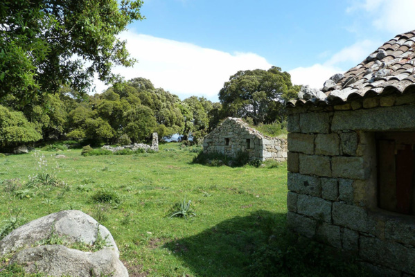 Sentier à thème de Ghjuncheto