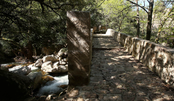 Le sentier des trois forêts de Brocéliande