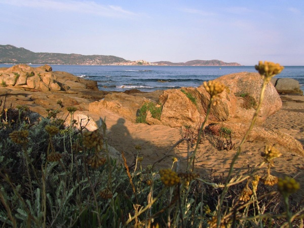 La plage de l'Arinella avec vue sur la baie de Calvi La plage de l'Arinella avec vue sur la baie de Calvi