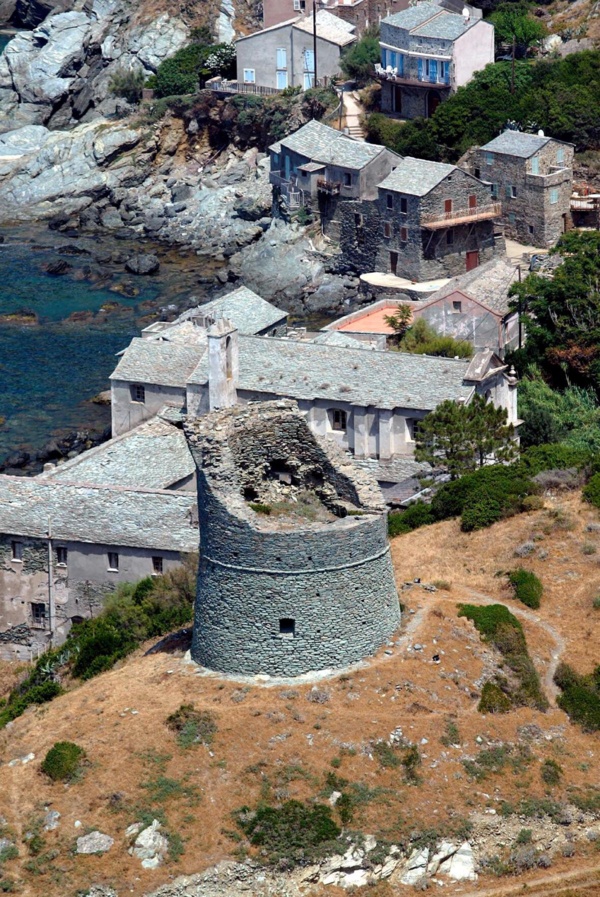 Pino, jardin sur la mer Pino, jardin sur la mer