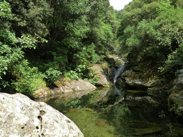 A Botte di Santa Maria di Lota A Botte di Santa Maria di Lota