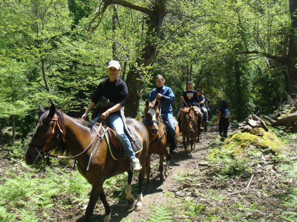 Promenade authentique à Fiuminale