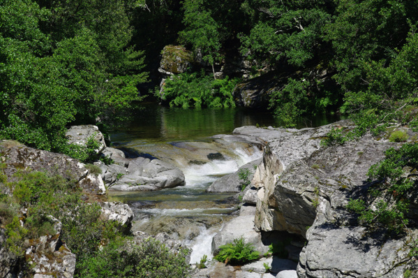 Le Travu, un fleuve impétueux Le Travu, un fleuve impétueux