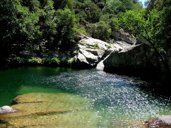 Bain de jouvence dans le Vecchio Bain de jouvence dans le Vecchio