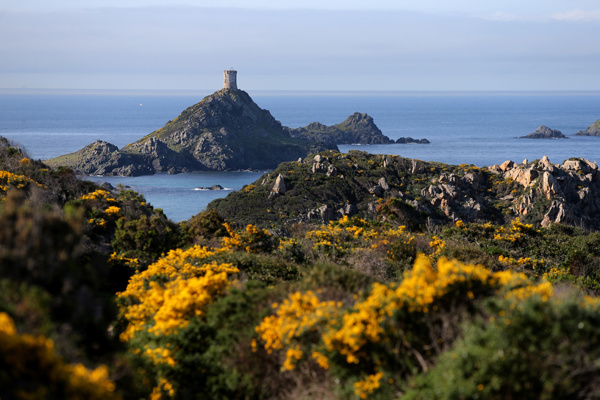 Grand Ajaccio, baie des anges Grand Ajaccio, baie des anges