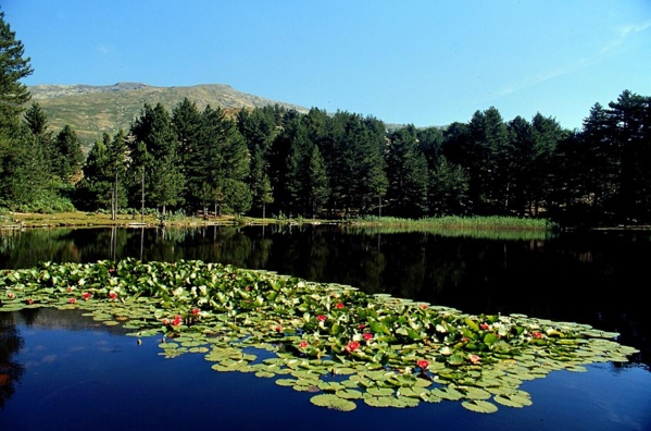 Centre Corse simplement authentique