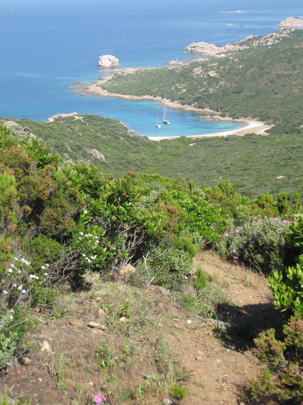 Sartenais-Valinco : l'équilibre parfait mer-montagne