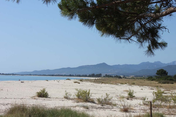 Quercione... à côté des vaches la plage