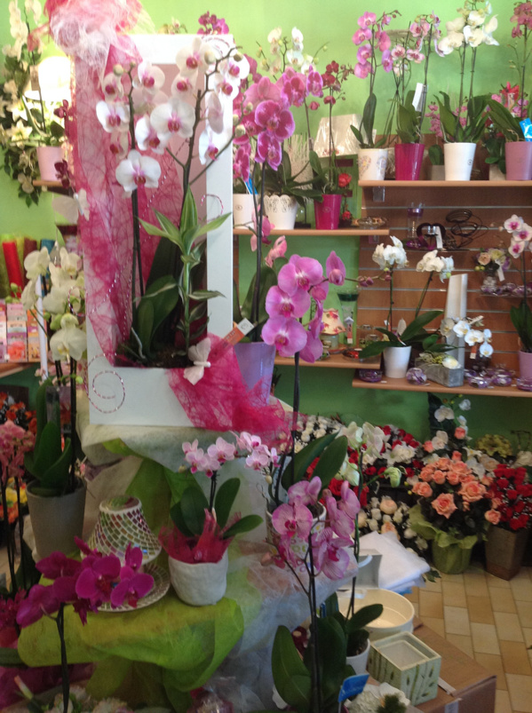 Boutique Fleur de Lys Boutique Fleur de Lys