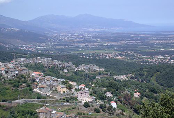 Themis immobilier Themis immobilier