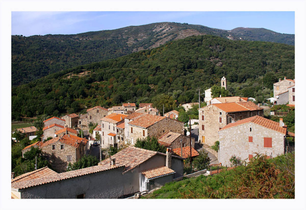 Papini immobilier Papini immobilier